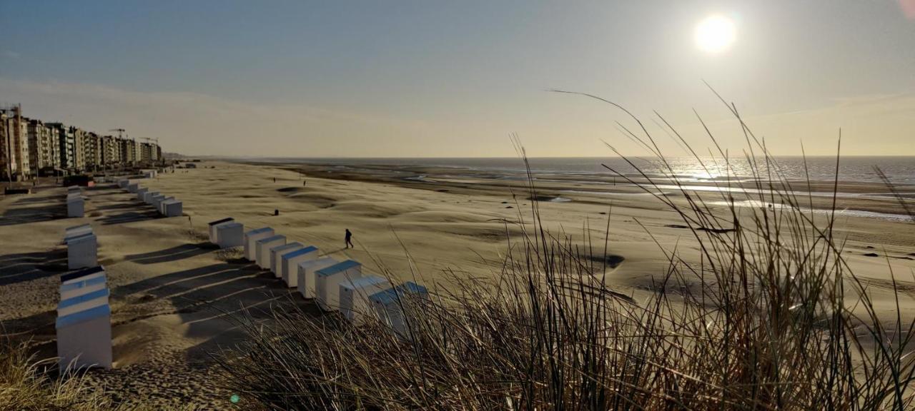 Le Zandkreek Plage & Centre - 2 Ch Koksijde Exterior photo